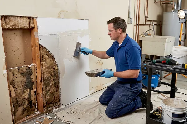 Mold and Drywall Repair Hesperia