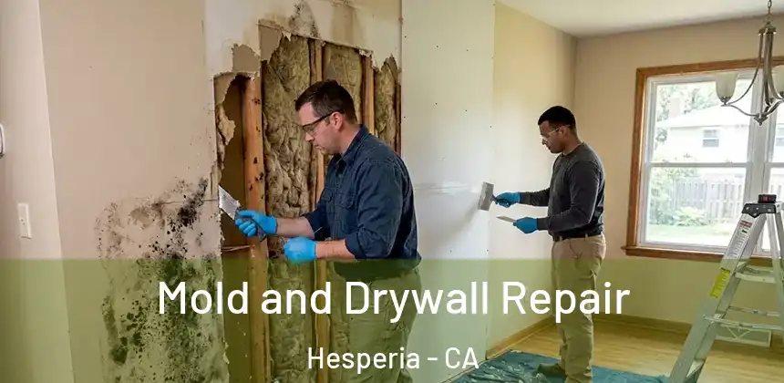 Mold and Drywall Repair Hesperia - CA