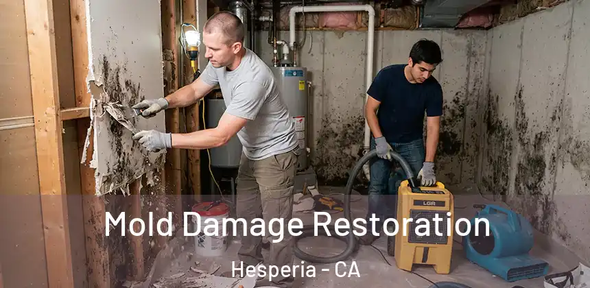  Mold Damage Restoration Hesperia - CA