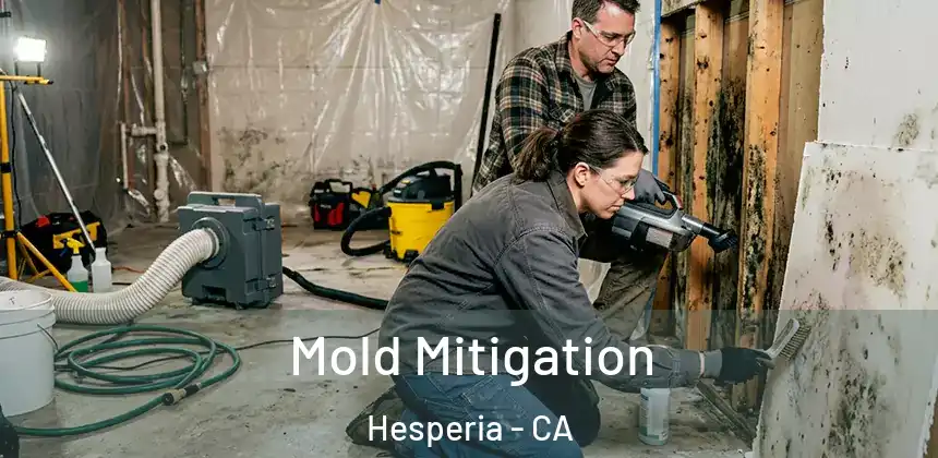 Mold Mitigation Hesperia - CA