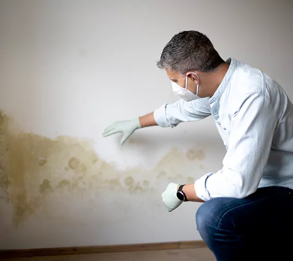Mold Removal Service in Hesperia, CA