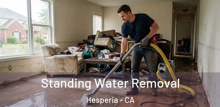  Standing Water Removal Hesperia - CA