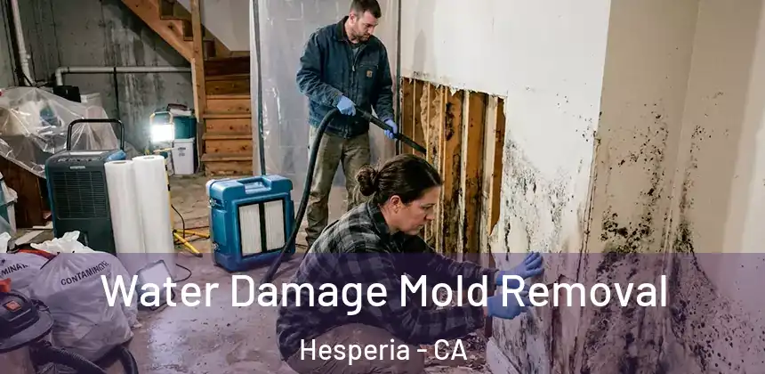 Water Damage Mold Removal Hesperia - CA